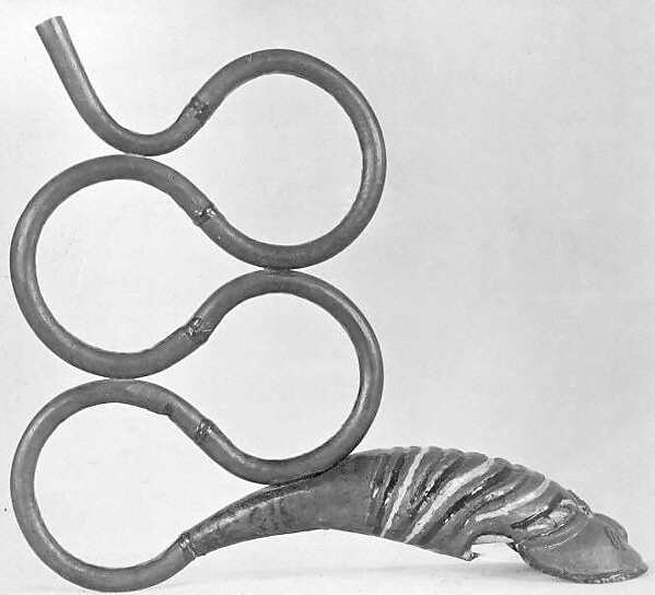 Nagphani