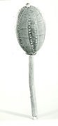 Gourd Rattle