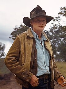 Ann Hesse, Homesteader