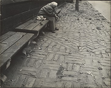 [Elderly Woman Seated on Bench, Central Park, New York City]