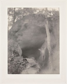 The Vision (Orpheus Scene)