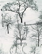 Washington Square, Winter