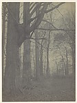 The November Woods, Little Falls, New York
