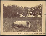 Is This Death - Antietam Battlefield, September 1862