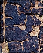 Eroded Rock, New Mexico