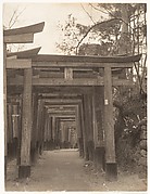 [Row of Torii Gates at Unidentified Shinto Shrine]