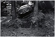 [Wrecked Car in Woods]