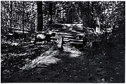 [Wrecked Car in Woods]