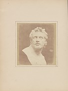 Bust of Patroclus