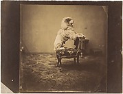 [Empress Eugénie's Poodle]
