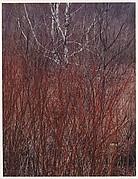Red Osier, Near Great Barrington, Massachusetts