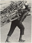 [Man Hauling Wood, Haiti]