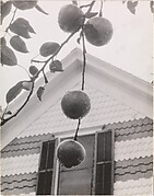 Gable and Apples