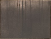 Woods Twilight