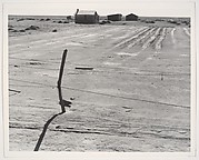 Abandoned Farm in the Dustbowl, Coldwater District, near Dalhart, Texas, June