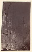 The Wilderness Battlefield