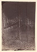 The Wilderness Battlefield