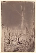 The Wilderness Battlefield
