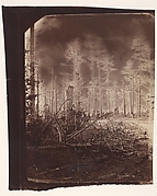[The Wilderness Battlefield]