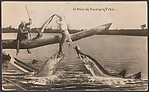 A Pair of Hungry Pike