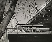 [Tree with Branches, Leaves Foreground; Pedestrians on Elevated Walkway Background]