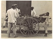 [Pineapple Vendor, Havana]