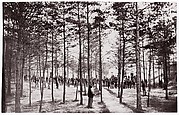 Convalescent Camp near Alexandria