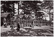 21st Michigan Infantry. Sherman's Volunteers
