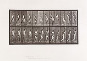 Animal Locomotion.  An Electro-Photographic Investigation of Consecutive Phases of Animal Movements.  Commenced 1872 - Completed 1885.  Volume II, Men (Nude)