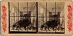 [9 Stereographic Views of the Arsenal Museum, NYC Museum of Natural History, American Museum, Interior Views Showing Stuffed Animals, Central Park, New York]