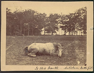 Is This Death - Antietam Battlefield, September 1862