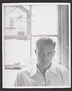 Alexander Jensen Low