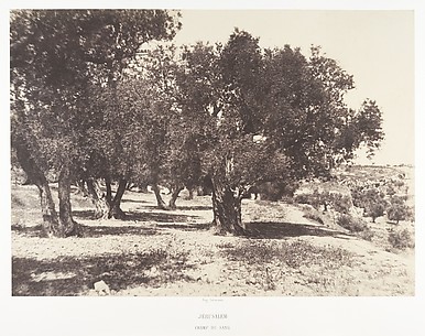 Jérusalem, Champ du sang
