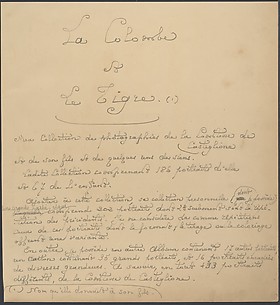 La Colombe et Le Tigre.  Ma collection de photographies de la Comtesse de Castiglione