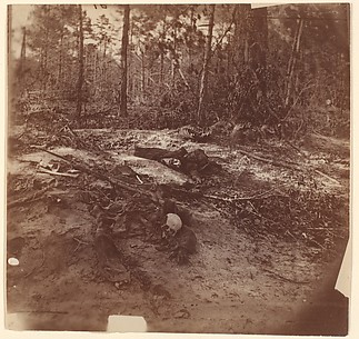The Wilderness Battlefield