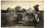 Carving Watermelons in Oklahoma