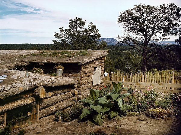Garden Adjacent to the Dugout Home of Jessie and Edith Evans-Whinery