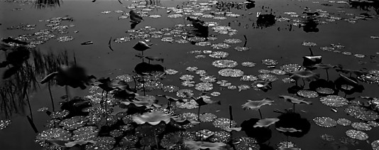 Yuanming Yuan, Beijing, China