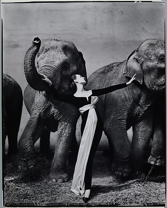 Dovima with Elephants, Evening dress by Dior, Cirque d'Hiver, Paris, August 1955