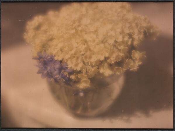 [Flowers in a Bowl]