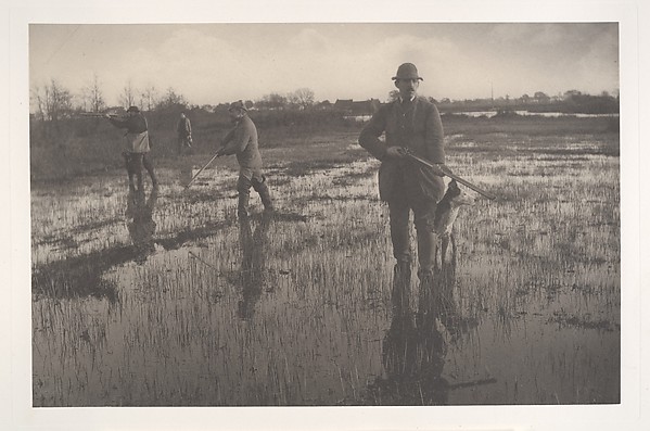 Snipe-Shooting