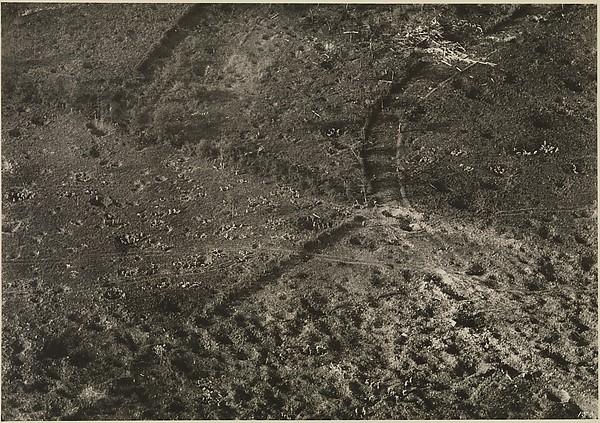 [Battlefield at Vaux, France]