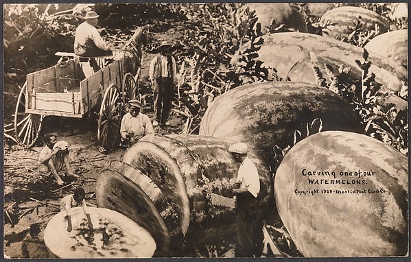 Carving One of Our Watermelons