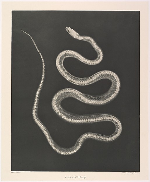 Versuche über Photographie mittelst der Röntgen'schen Strahlen