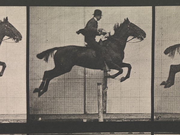 Animal Locomotion.  An Electro-Photographic Investigation of Consecutive Phases of Animal Movements.  Commenced 1872 - Completed 1885.  Volume IX, Horses