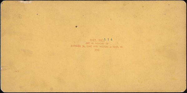 [Group of 107 Stereograph Views of Animals]