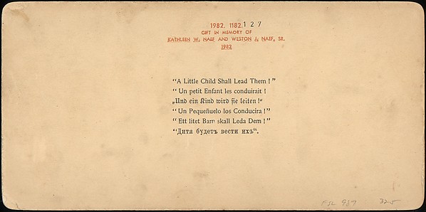 [Group of 107 Stereograph Views of Animals]