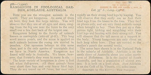 [Group of 107 Stereograph Views of Animals]