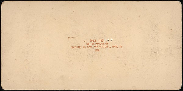 [Group of 107 Stereograph Views of Animals]