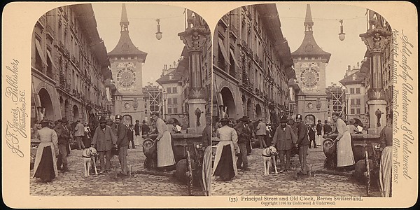 [Group of 107 Stereograph Views of Animals]